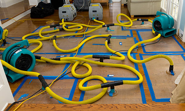 Professional Basement Flood Cleanup technician working in Millville, MA
